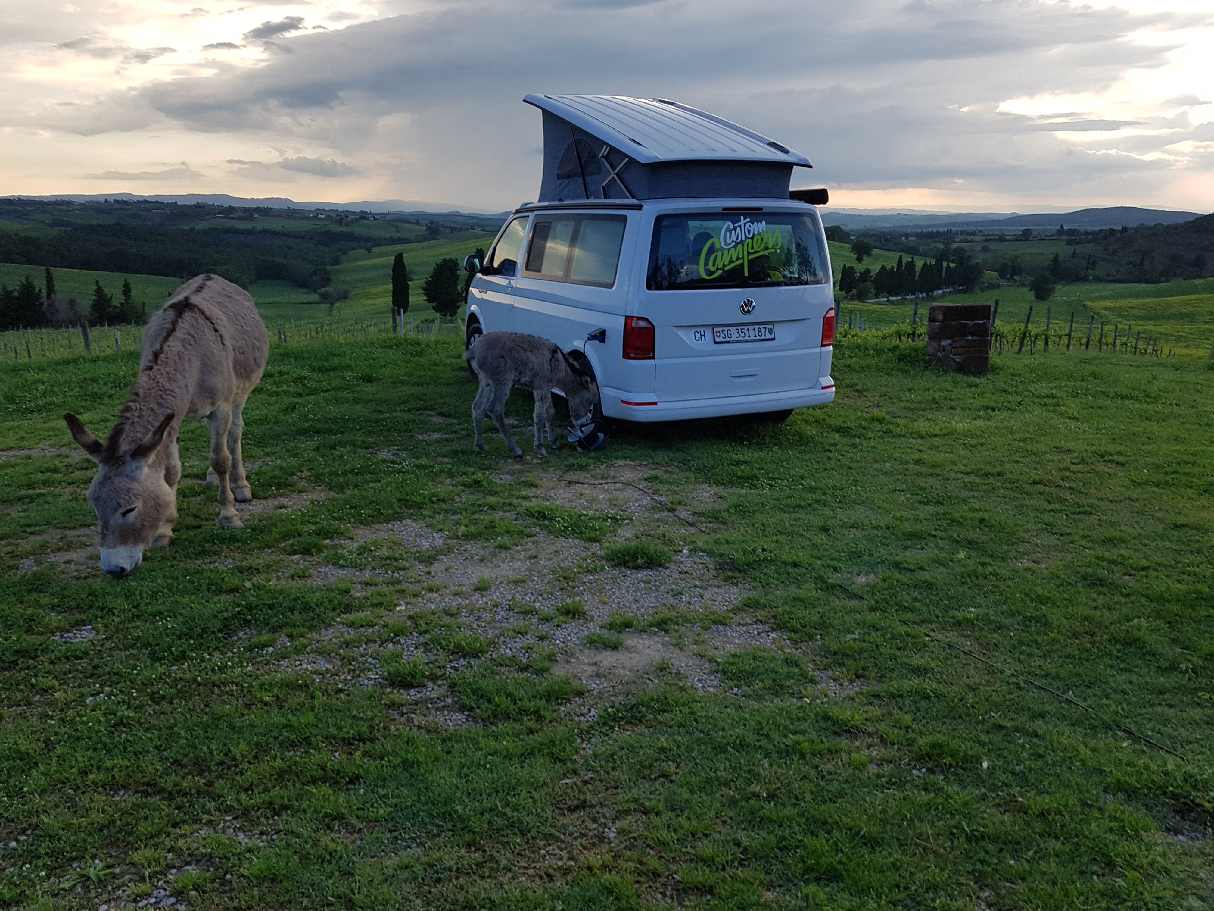 Camper und Campervan Serienfahrzeuge kaufen