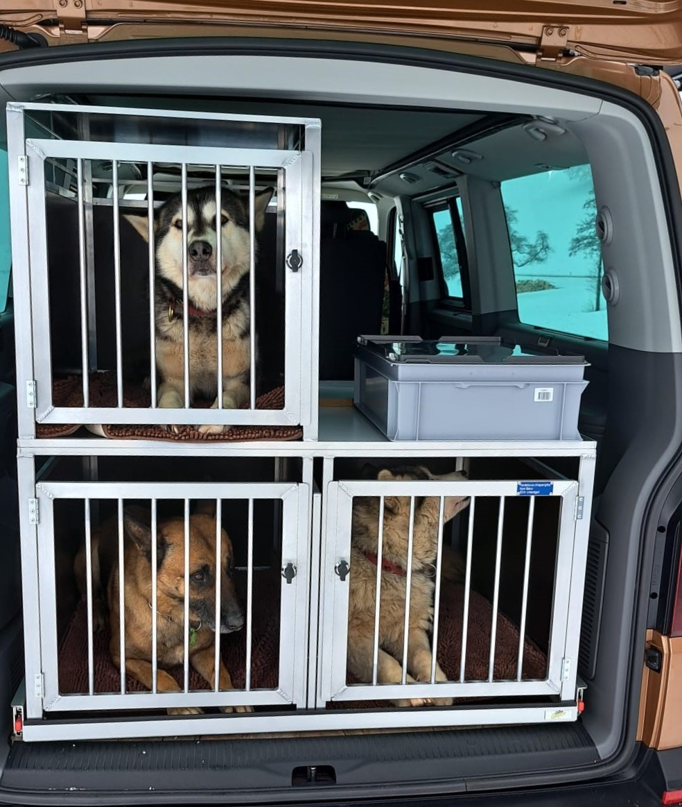 VW T6.1 "Schlittenhund-Mobil"