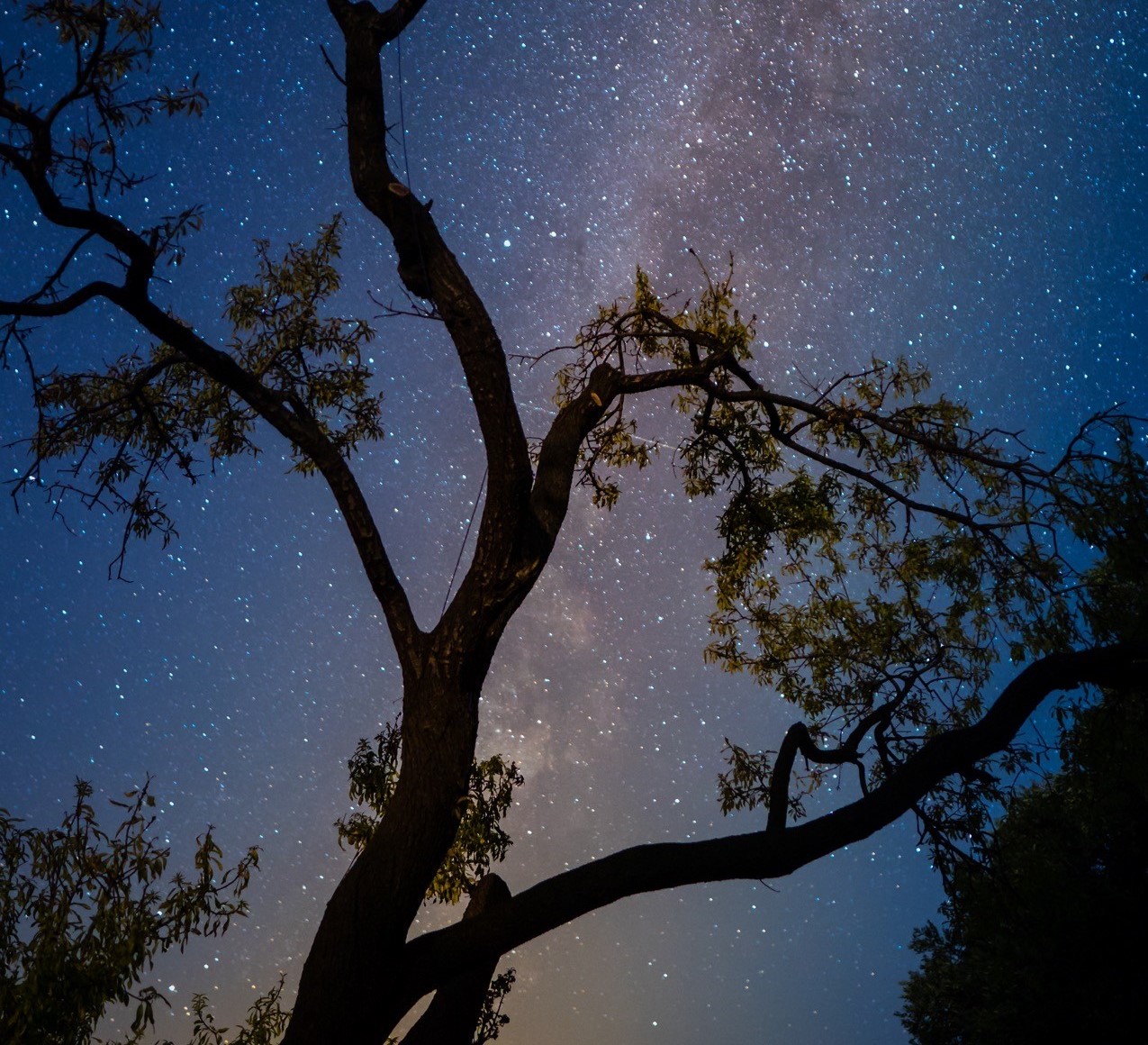Sterne zählen unter freiem Himmel